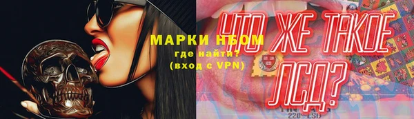 шишки Аркадак
