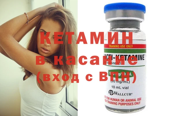 шишки Аркадак