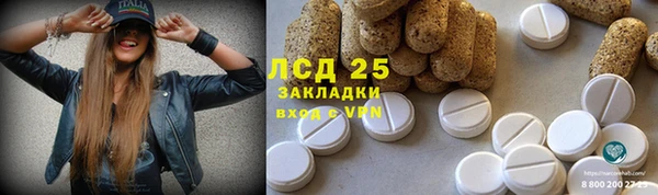 шишки Аркадак