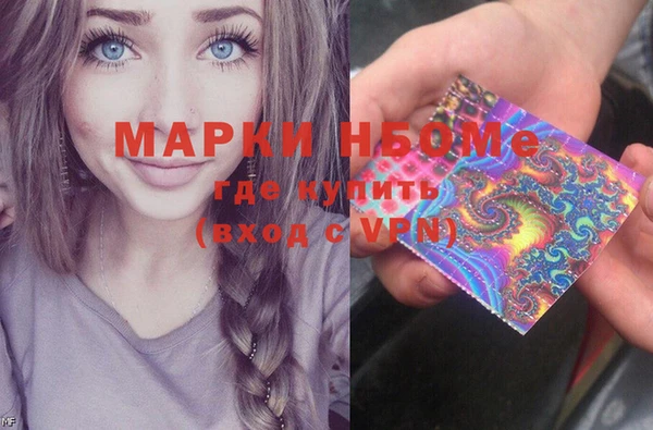 шишки Аркадак