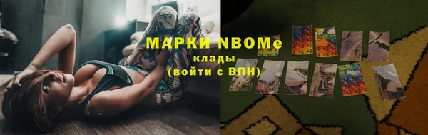 прущие грибы Няндома