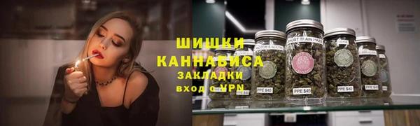 шишки Аркадак