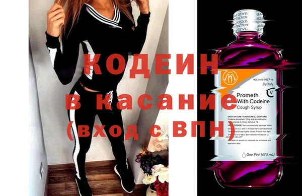 шишки Аркадак