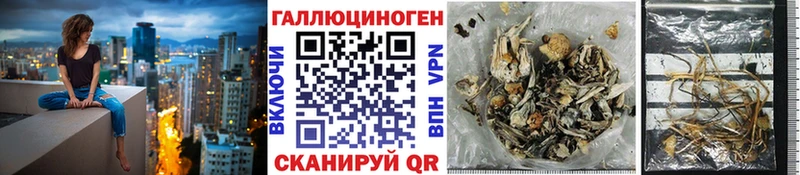 Псилоцибиновые грибы Psilocybine cubensis  как найти закладки  гидра маркетплейс  Собинка 